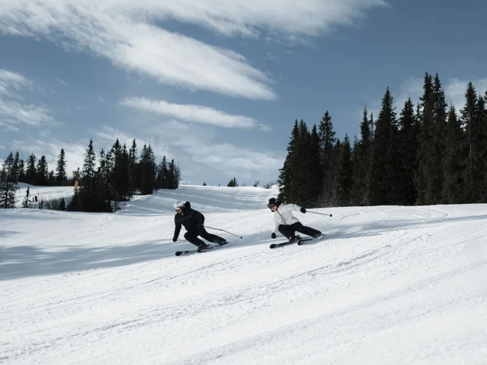 Skipass 6-8-dagar