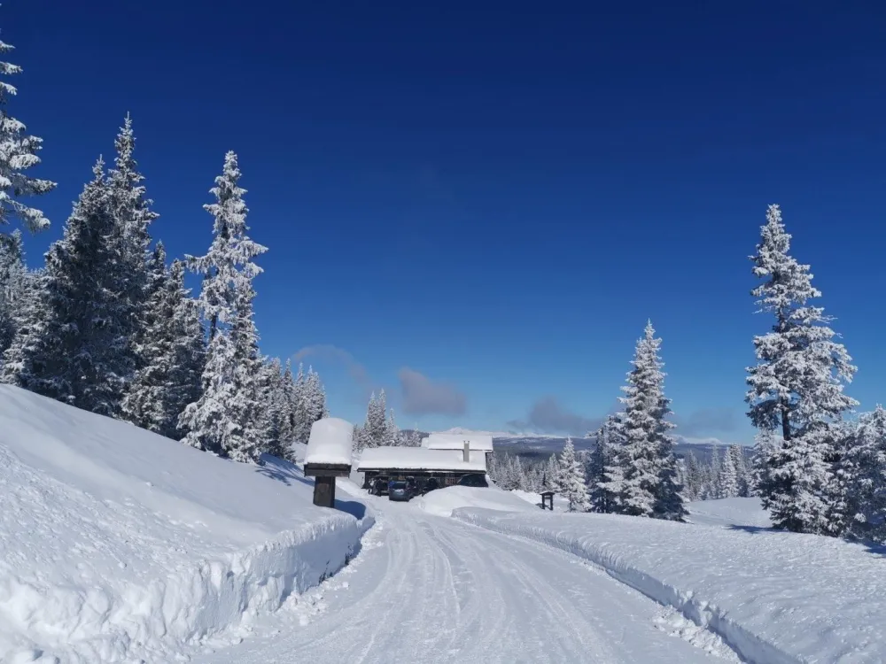 SØNNAVIND