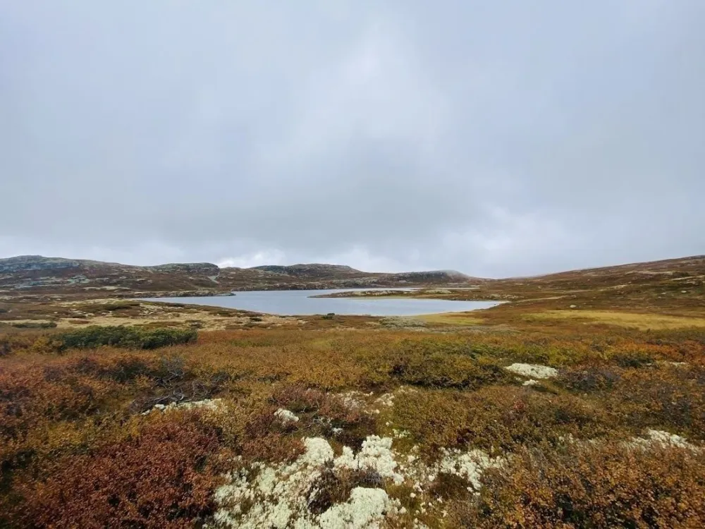 LAFTESTØLEN 17
