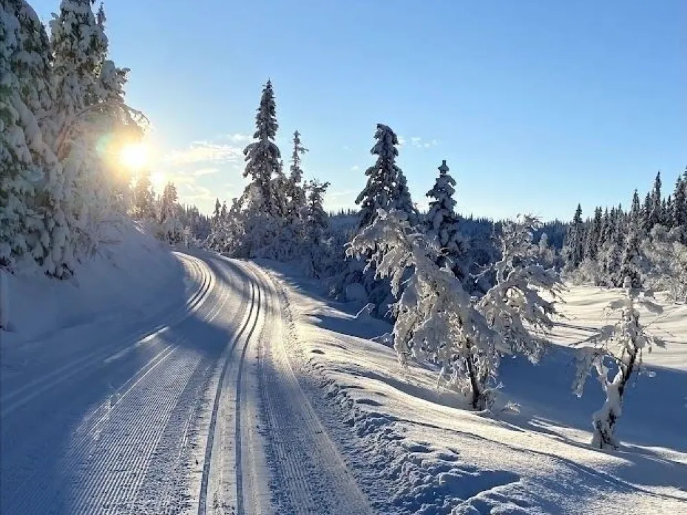 LAFTESTØLEN 17