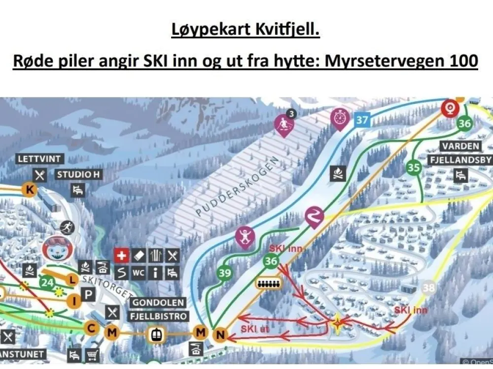 MYRSETERVEGEN 100