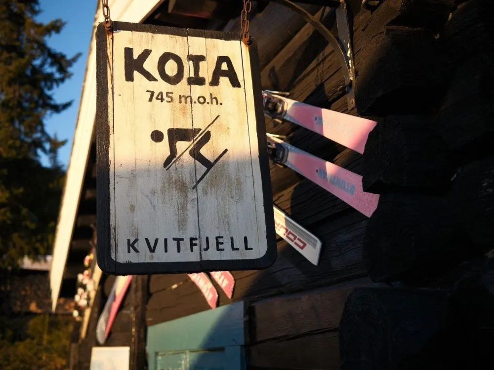 KVITFJELL ALPINGREND 8C