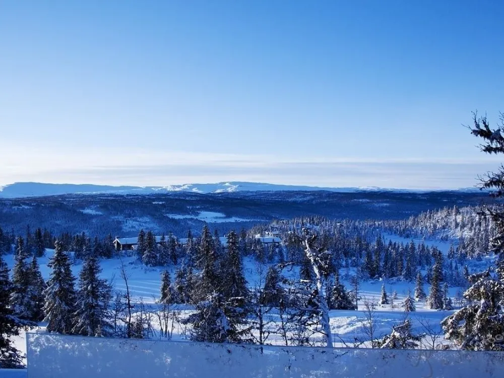 KVITFJELLTOPPEN 37