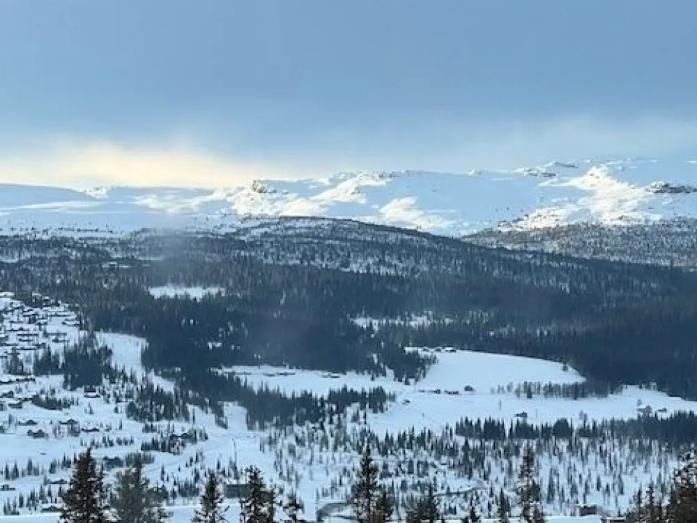 KVITFJELLTOPPEN 37