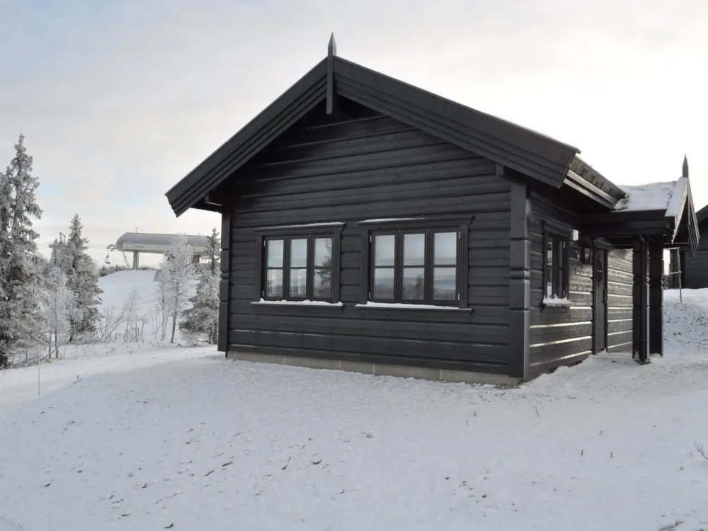 ANNEKS VARDEN 290
