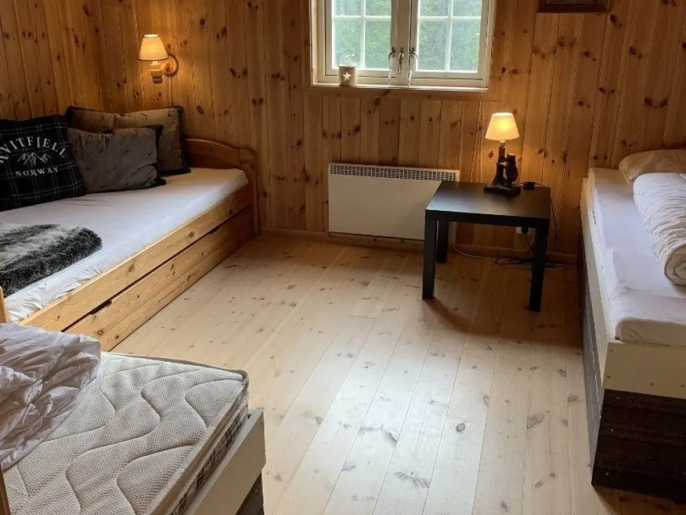 BJØNNLISKARDET 13