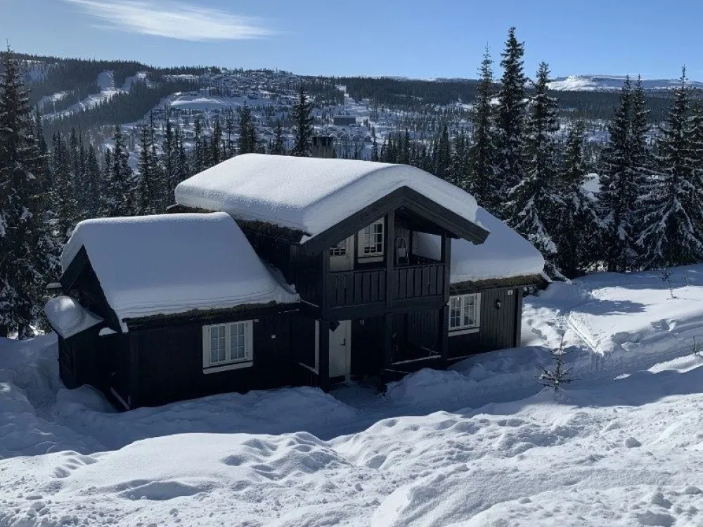 BJØNNLISKARDET 13