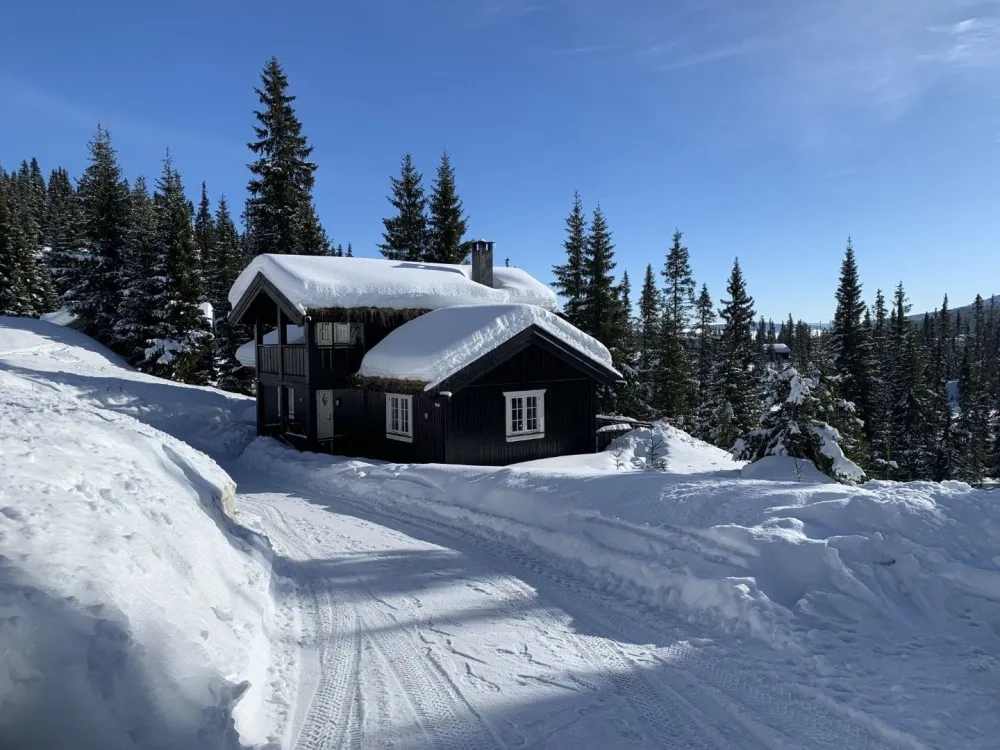 BJØNNLISKARDET 13