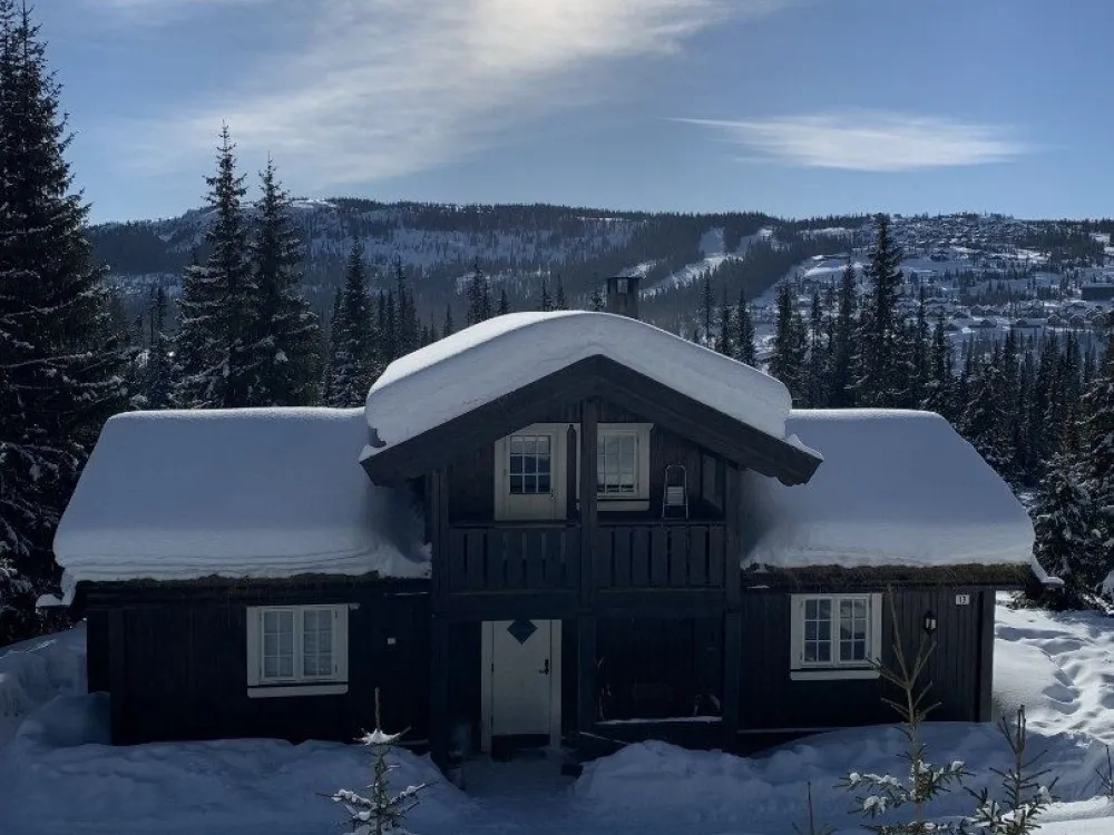 BJØNNLISKARDET 13