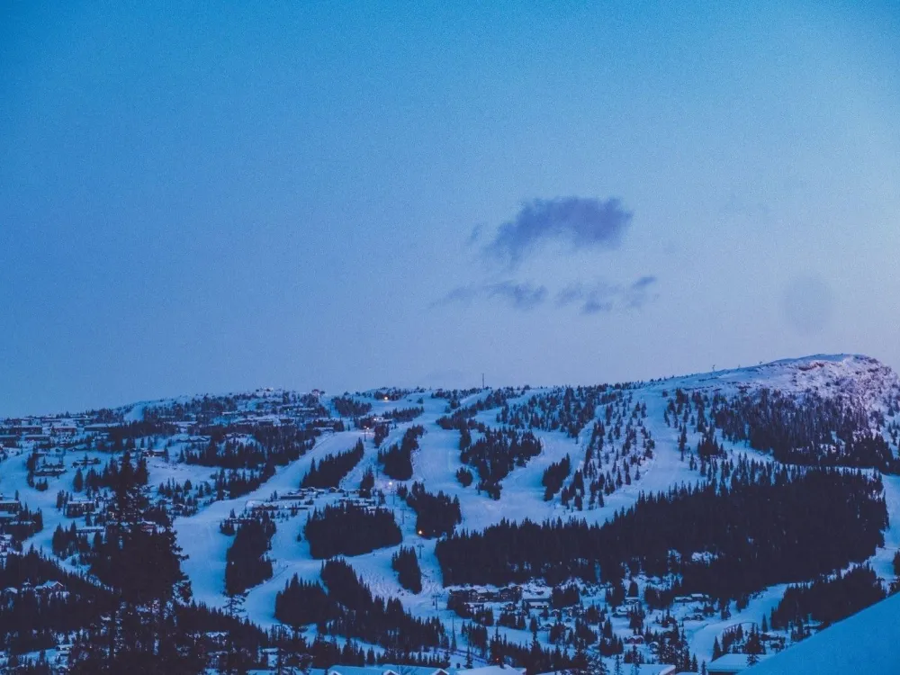 VARDEN FJELLANDSBY 208