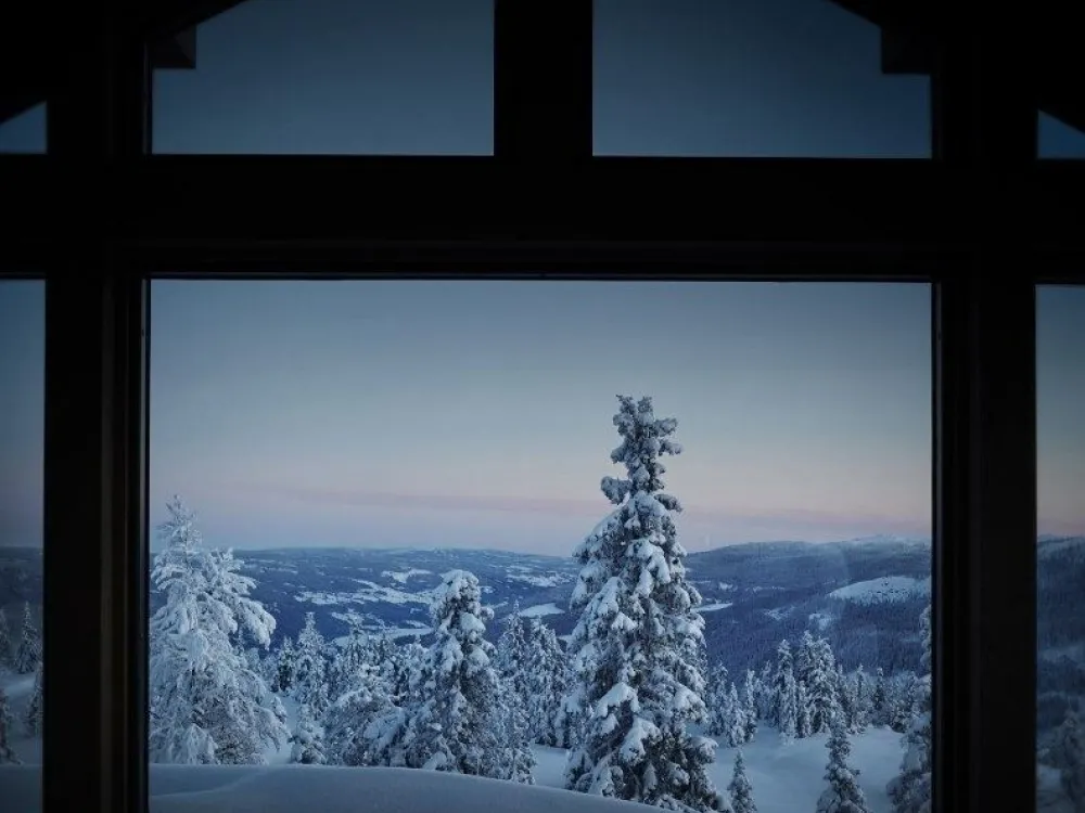 SVARTSKARDVEGEN 185