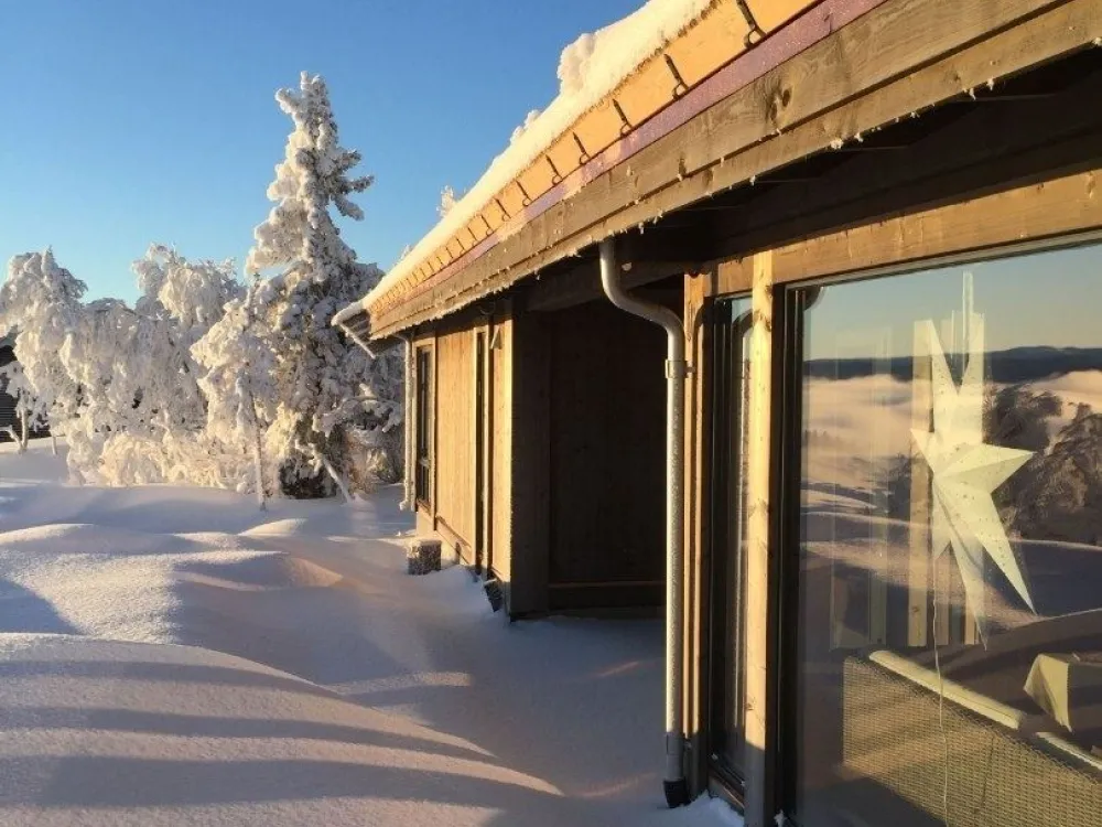 SVARTSKARDVEGEN 185