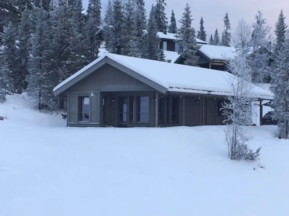 BJØNNLITJØNNVEGEN 4