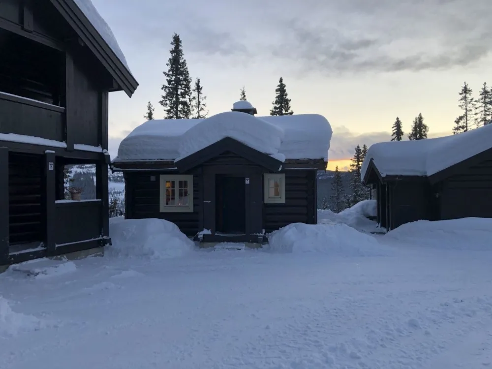 BJØNNLISKARDET 25