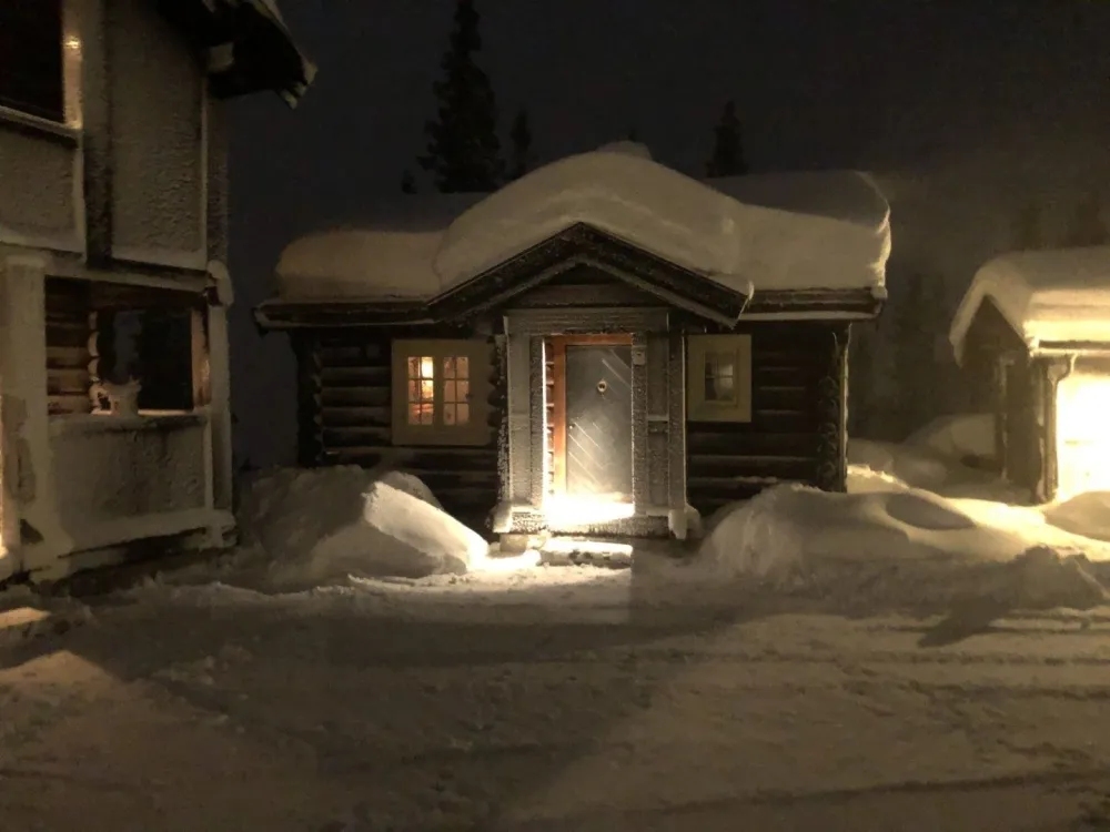 BJØNNLISKARDET 25