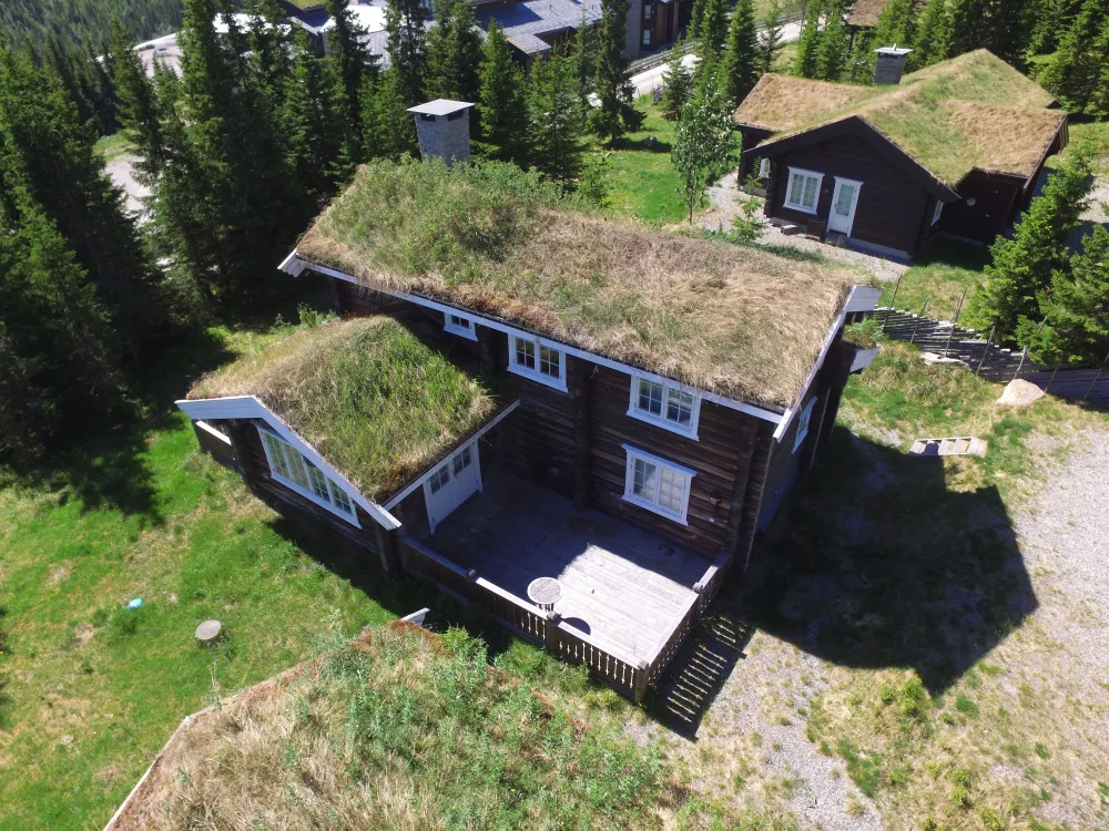 Kvitberget