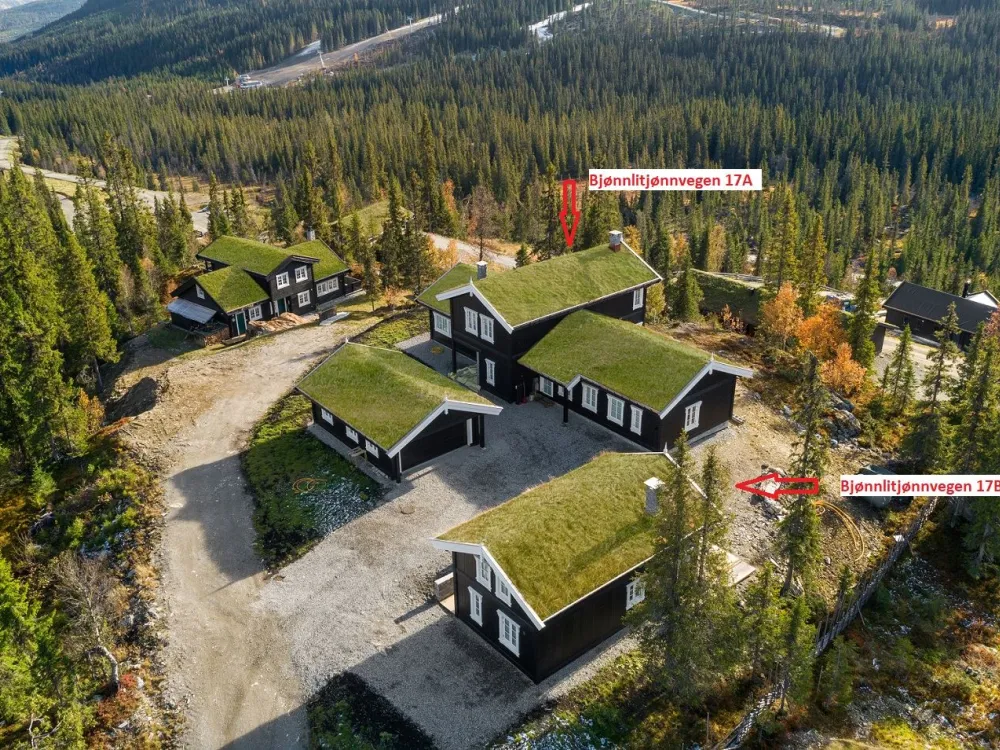 Bjönnlitjönnvegen 17B