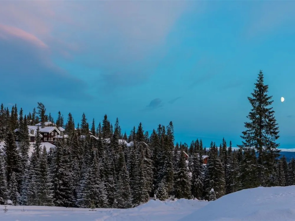 Kvitfjell Alpingrend 8C