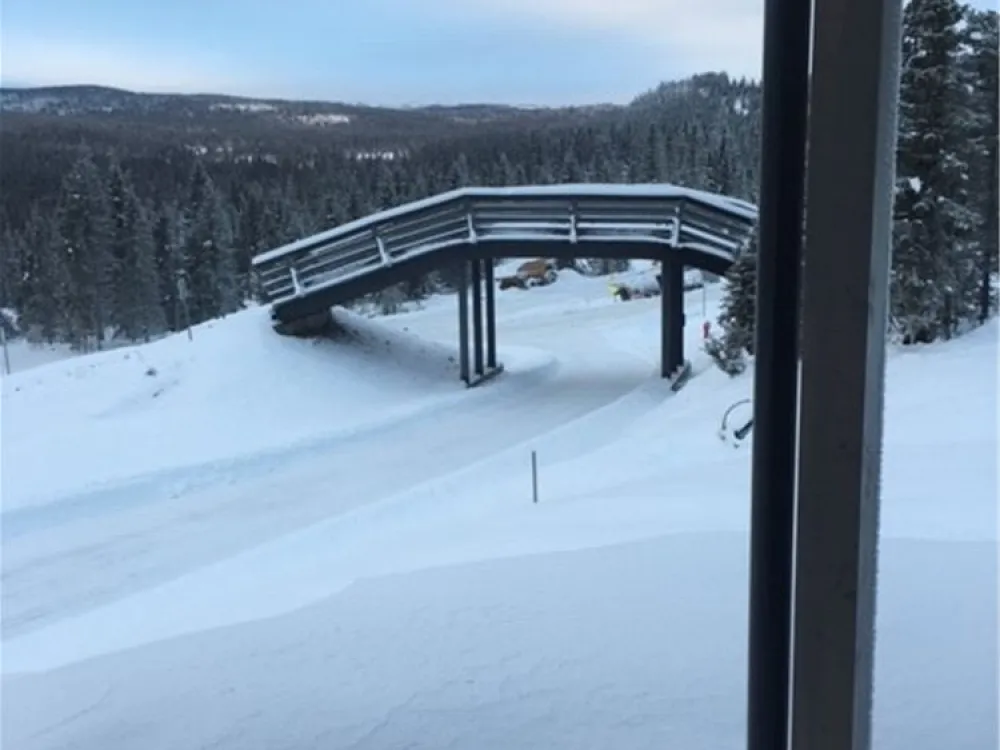 Bjönnlitjönnvegen 4