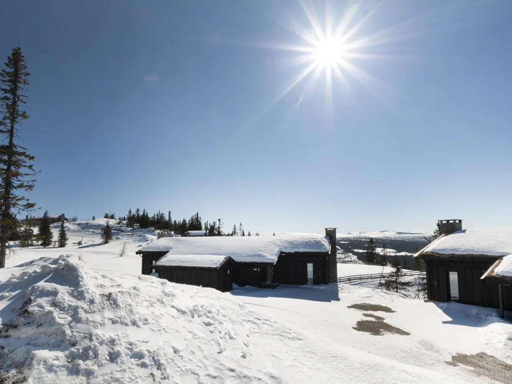 Svartskardevegen 334