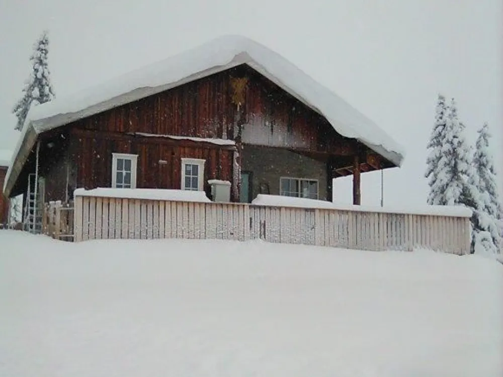 Bjönnlitjönnvegen 43