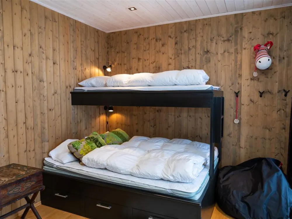 BJØNNLISKARDET 69