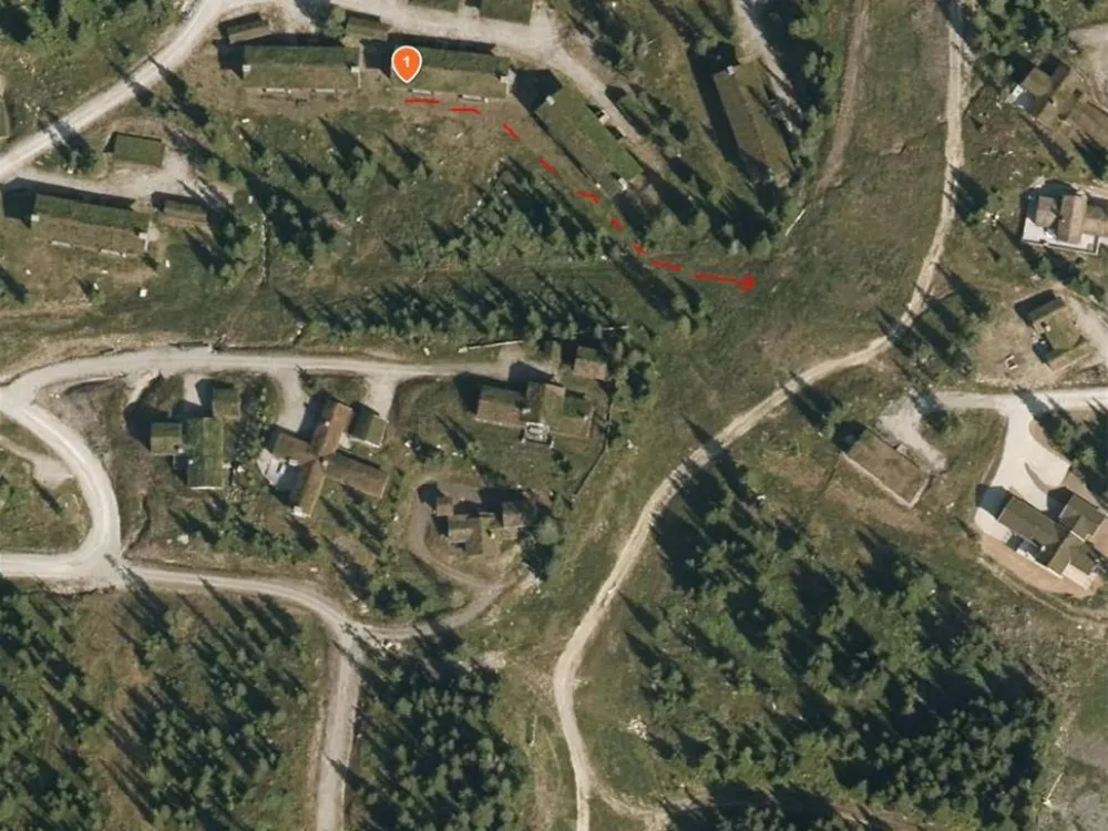 BJØNNLISKARDET 69