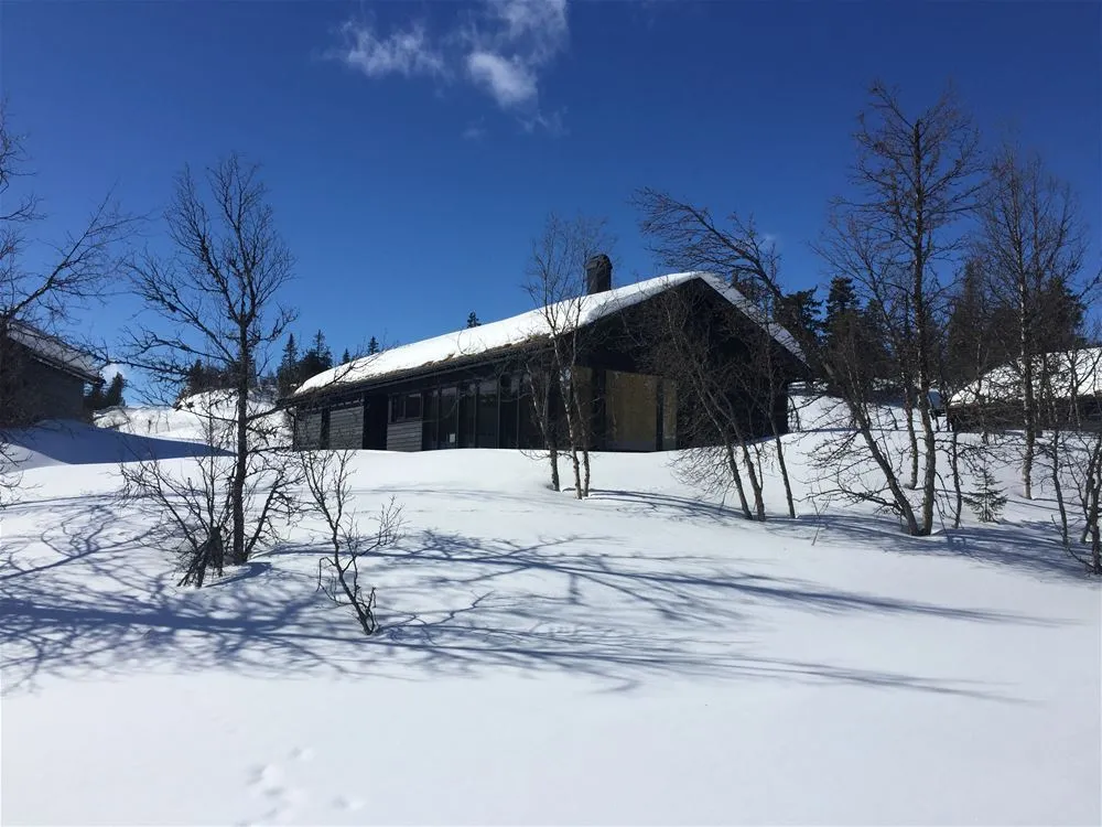 Bjönnlimorka 3