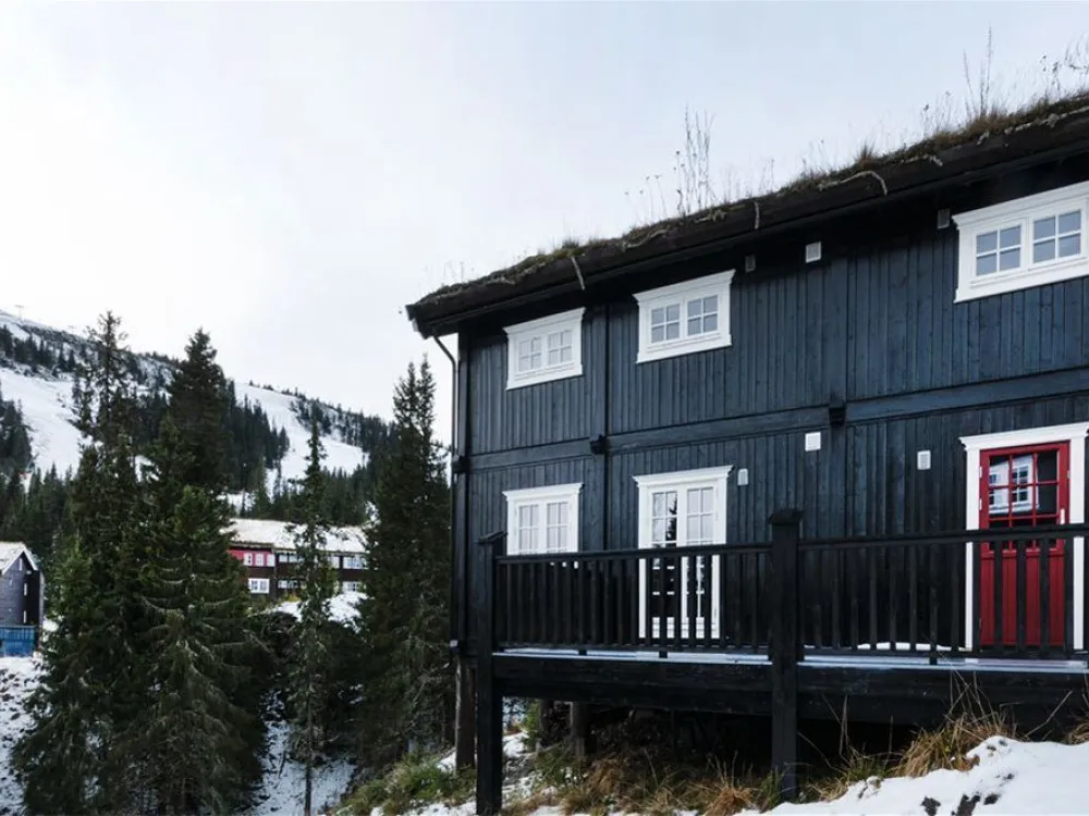 Gudbrandsgard Hyttegrend 7