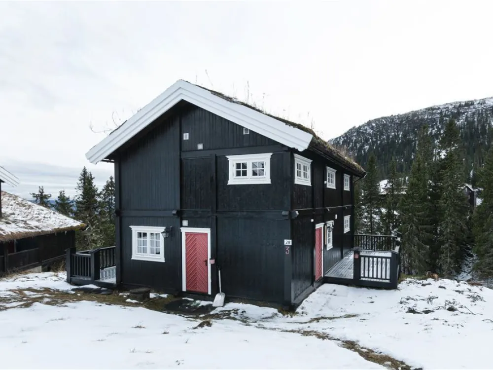 Gudbrandsgard Hyttegrend 2