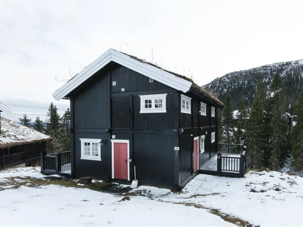 Gudbrandsgard Hyttegrend 4