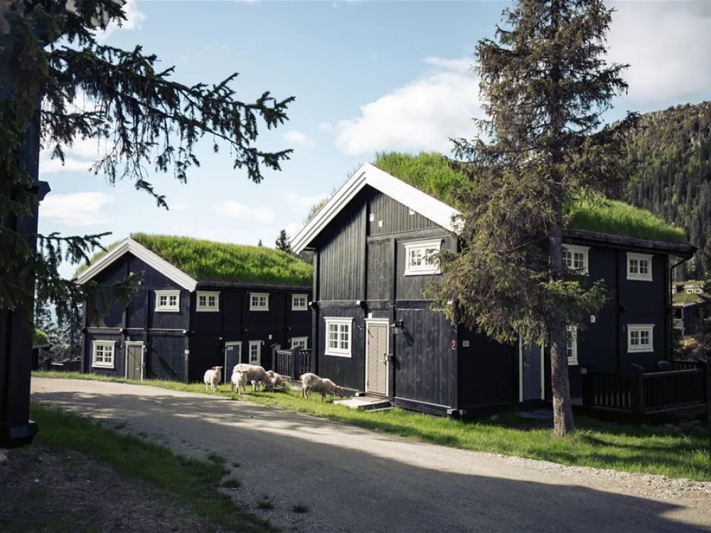 Gudbrandsgard Hyttegrend 6