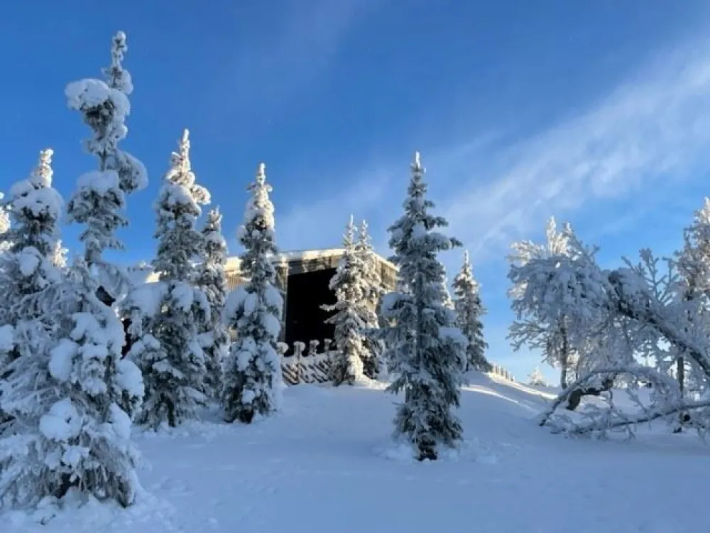 Svartskardvegen 189