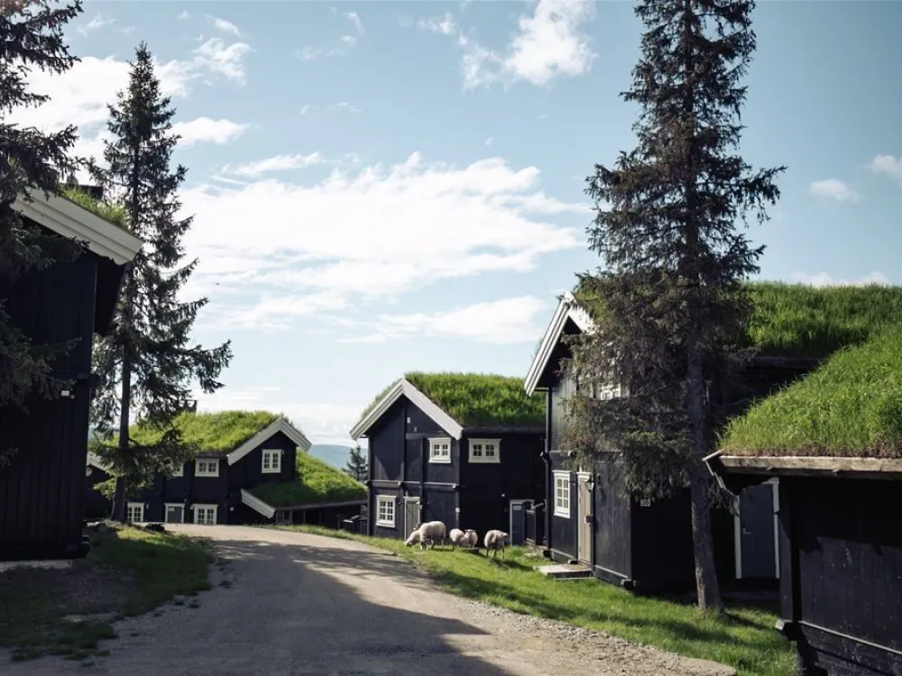 Gudbrandsgard Hyttegrend 1
