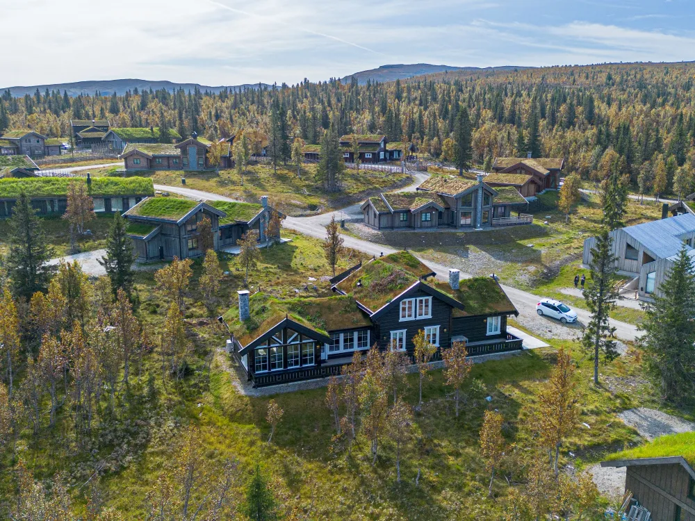 Varden 291