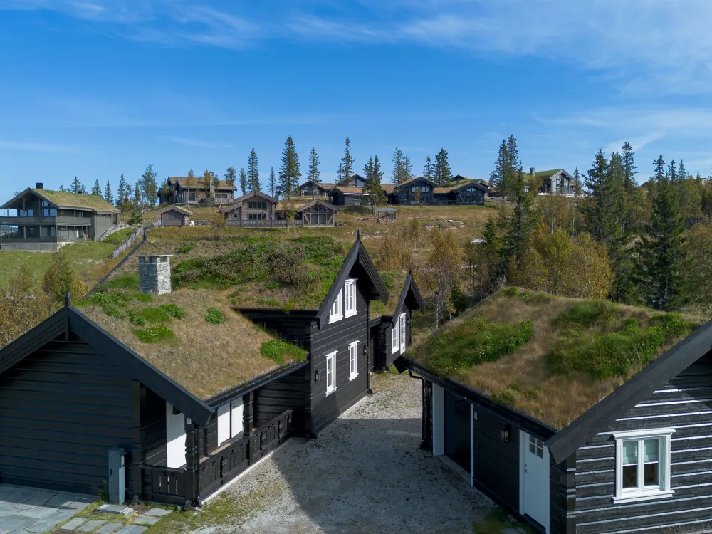 Varden 291