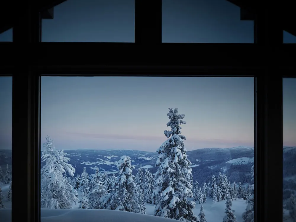 SVARTSKARDVEGEN 185