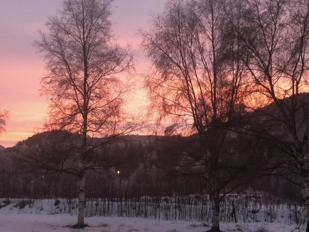 KVITFJELLTUNET 17